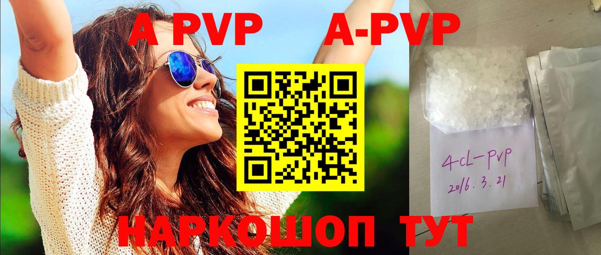 A PVP СК КРИС Астрахань