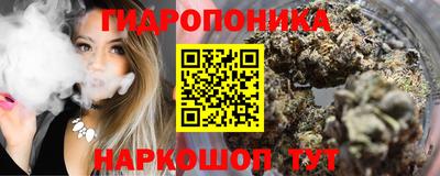 MDMA Новозыбков