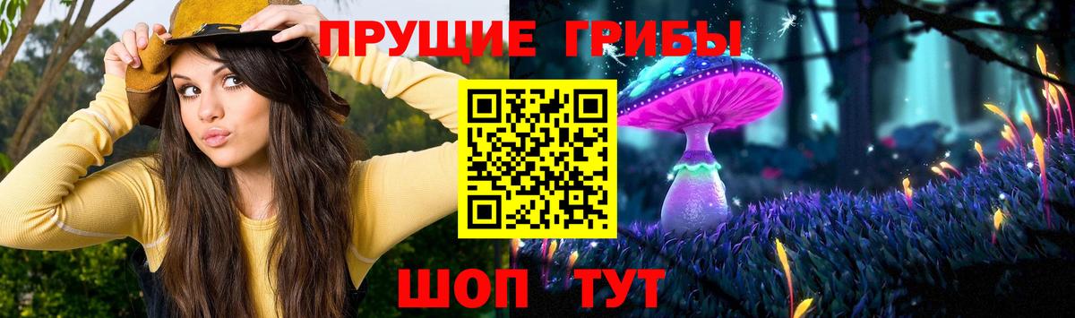 Астрахань  Псилоцибиновые грибы Psilocybine cubensis  Псилоцибиновые грибы прущие грибы  Вход с VPN 